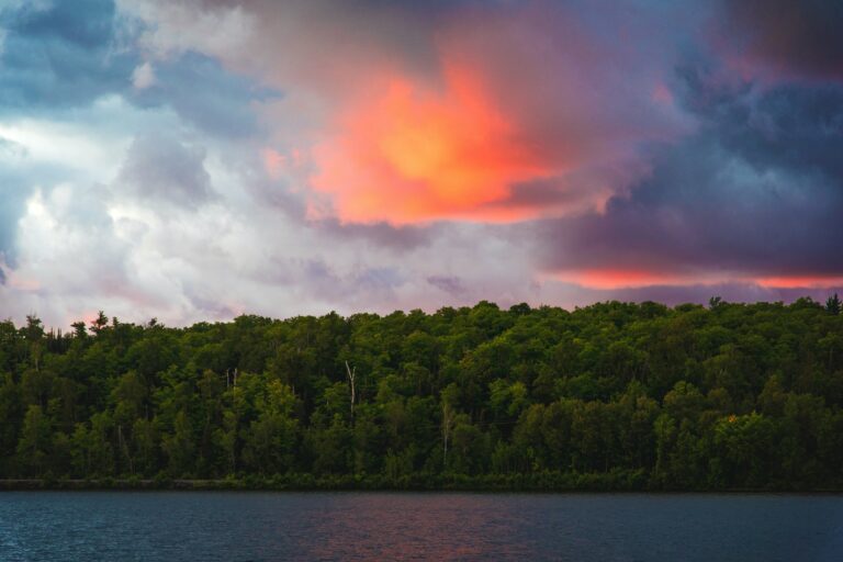 Nature and Sunset